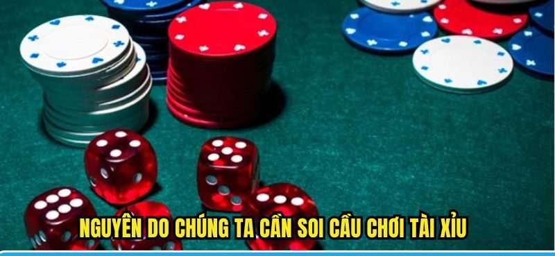 Những lí do chúng ta cần soi cầu chơi tài xỉu